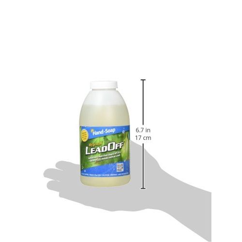 Hygenall FHW80185OMC Leadoff Foaming Hand Soap