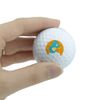 GRAPHICS & MORE Care Bears Wish Bear Novelty Golf Balls 3 Pack
