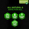 Bentodent Natural Toothpaste for Entire Family Incl Kids | Freshens Breath, Helps Reduce by Brushing, Brightens Teeth (Charcoal Mint Pack)