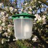 Dragonfli Codling Moth Pheromone Trap - Reusable Glue Free Trap