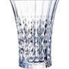 Crystal Darc Lady Diamond Highball Glass