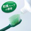 Shouyo Raw Leaves, Unpolished Type, Prevents Pyorrhea, Medicated Toothpaste, Herbal Mint Flavor, 3.4 oz (95 g), Quasi-Drug