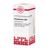 Rhododendron LM VI DHU Dilution, 10 ml Lösung