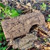 Simon King Frog Log