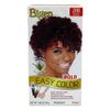 Bigen Easy Color #2rb Burgundy Kit, 1 Ea, 1count