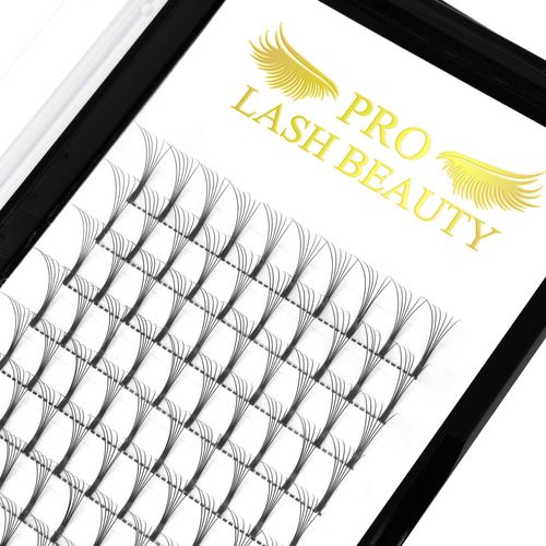 Pre Made Fan Eyelash Extensions 6D-D-0.07-15 Long Stem Pre Fanned Russian Volume Lashes 0.07 0.10 Premade Fans Eyelash Extension C D curl Lash Extension 6D-D-0.07-15