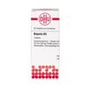 DHU Bryonia D4 Tabletten, 80 St. Tabletten