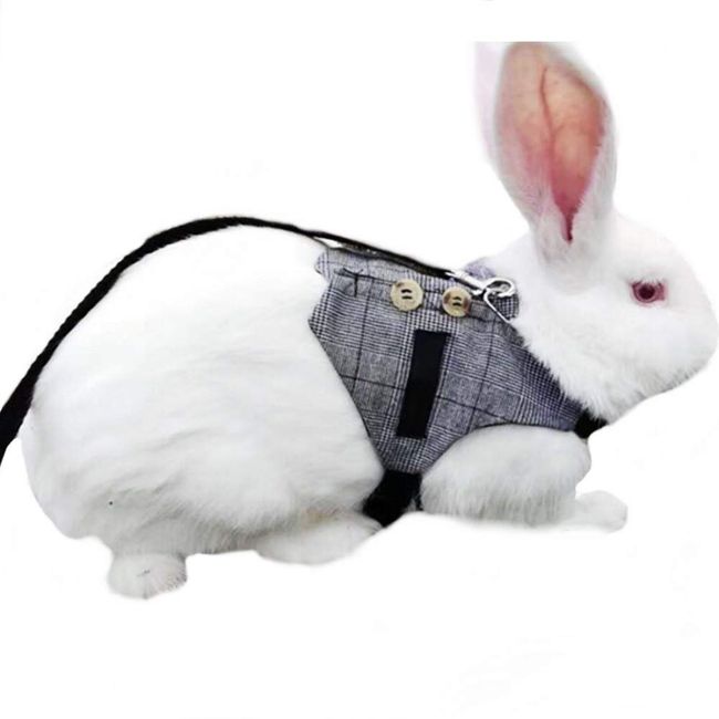 Multipurpose Rabbit Vest Harness and Leash Set Small Animal Adjustable Soft Harness with Button Decor Formal Suit Style for Bunny Rabbit Kitten Small Animal Walking (M)