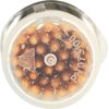 Preserve - Mint Tea Tree Toothpicks, 24 x 35 CT