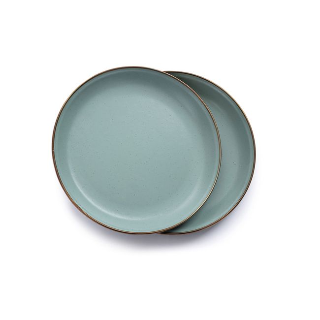 BAREBONES Enamel Plate, Set of 2 (Authorized Japanese Dealer), Salad Plate (8.2 inches (20.9 cm), Mint Green)