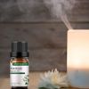 GREENSLEEVES Essential Oil - 10ml (Patchouli)