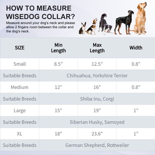 Wisedog Waterproof Dog Collar: Multiple Adjust 7" to 23.6", Soft Rubber Coated Webbing, Easy to Clean, for Small Medium Large Dogs (M|12"-16" × 4/5 in, Sage Green)