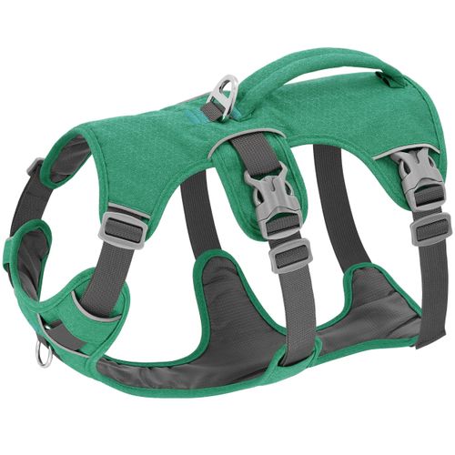 Beirui Escape Proof Dog Harness,Soft Padded Dog Vest No Pull with Lift Handle,Durable Reflective Waterproof Full Body Pet Harness for Small Medium Dogs Walking Training(Green,Chest 18-32")