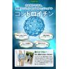 Glucosamine & Chondroitin VITAL Supplement