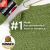 Red Heart Super Saver Yarn, 3 Pack, Favorite Stripe 3 Count