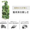 BOTANIST Botanical Treatment