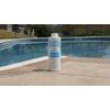 Aqua Clear Pool Products Algaecide 32 oz.