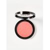 Technic Matte Blusher - Kitten