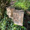 Selections Large Wooden Bat Box