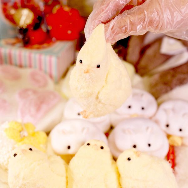 1pcs Handmade Squishy Chick Soft Squishy Fidget Toys Silicone Squeeze Toys for Stress Relief ( Chicken ) (1pcs)