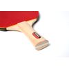 JOOLA Family Premium Table Tennis Bundle Set - 4 Regulation Ping Pong Paddles, 10 Training 40mm Ping Pong Balls, and Carrying Case - For Training and Recreational Play - Indoor and Outdoor Compatible