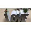The Word Vase ~ Plant "Love"