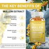 10:1 Mullein Leaf Extract Gummies for Lung Cleanse, Extra Strength 10000 MG US