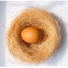 Fast Life Natural Coconut Fiber for Bird Nesting