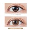 [ Miyawaki Sakura Produced Color Contacts ] MOLAK One Day 10 pieces Sakurasmore (prescription) [-8.00]