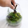 Moss Interior Coquerium Gardening Scissors Terrarium Aquarium Trimming Scissors Black