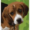 Pepita Needlepoint Canvas: Beagle Puppy, 10" x 10"