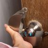 TEMEILI Door Handle Lock, White, Combination Lock, Easy to Install