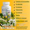 TODICAMP Vision Support Supplement with Lutein and Zeaxanthin Supplements