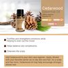 Rocky Mountain Oils Cedarwood Essential Oil - 100% Pure & Natural Aromatherapy Grade | Topical Oil for Hair Care and Skin Care, | Ideal for Diffusers, Massage & DIY Products | 15ml Bottle