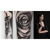 Electrum Nox Violet Tattoo Stencil Ink Create Flawless, Long-Lasting, Use The Hectograph Stencil Ink That Tattoo Artist Natalie Nox Uses, 2 Ounces