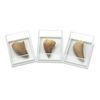 Fossilised Mosasaur Tooth - Small