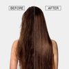 EBIN NEW YORK 5 Second Argan Oil Natural Detangler 8.5 OZ