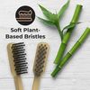 REACH Clean World Natural Bamboo Toothbrush, Soft Plant-Based Bristles, FSC Certified Bamboo and Paperboard, Recyclable Packaging, 3 Count
