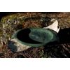 Kupilka 44 Large Conifer Plates Green