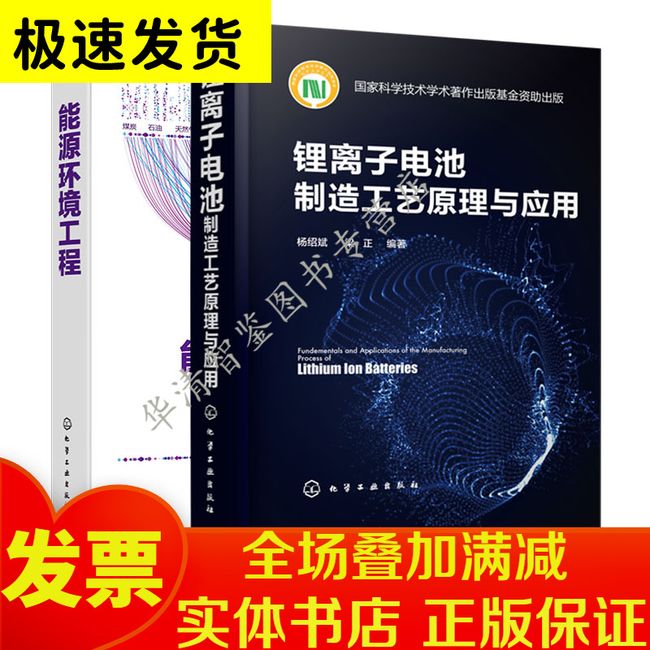 锂离子电池制造工艺原理与应用 能源环境工程 2册 离子电池电化学性能设计 制造工序工艺原理制造设备工