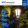 3 Pack 30W LED Corn Light Bulb 5000K Daylight 3750 Lumens Super Bright, E26/E27