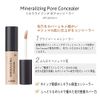 THE SAEM Japanese Official (The SAEM) Mineralizing Pore Concealer (0141) 1.5 Natural Beige 0.2 fl oz (4 ml) x 1)
