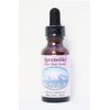 Alaskan Essences Spectrolite Gem Elixir 1 oz Size