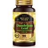 Dandelion Leaf, Cholesterol Antioxidant, Liver, Kidney Detoxification, 36,000mg