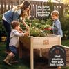 Raised Garden Bed - Elevated Wood Planter Box with Bed Liner