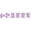 Totum Bling Bling Ring Jewellery Set in Gift Box
