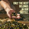 Filippo Berio Extra Virgin Olive Oil, 25.3 Ounce rPET Bottle