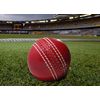 KSZ TRADERS Cricket rubber soft balls for practice (set of 3)