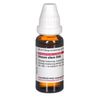 DHU Viscum album D30 Dilution, 20 ml Lösung