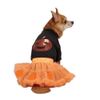 Zack & Zoey Pumpkin Costume Set for Pets, Small/Medium, Orange